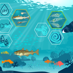 Report  Card – Some Interrelationships between Temperature, Salinity, pH, Chlorophyll, Oxygen, Nutrients, and Turbidity in Seawater (Physiochemical factors)